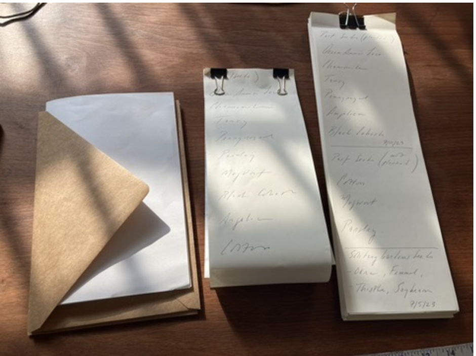 a photograph of a list of abortion herbs hand-written on parchment paper